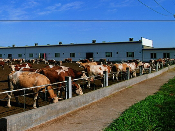 养殖厂项目检测项目