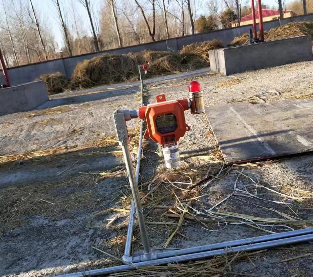 1703828937277836.jpg 1703828937277836.jpg